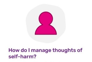 An icon representing a person in bright pink. Text at the bottom of the image read: How do I manage thoughts of self-harm?