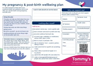 The Tommy's pregnancy and birth wellbeing plan